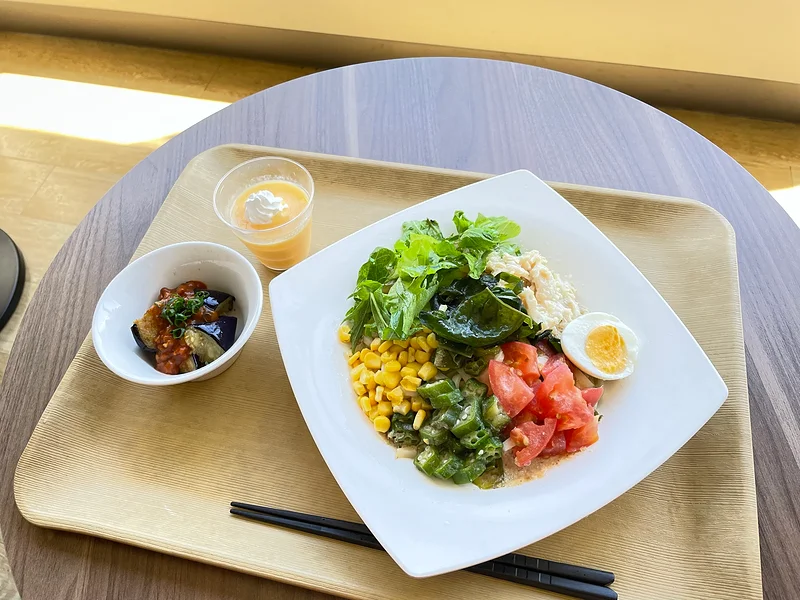 タンサ活レシピの一例(ごまだれサラダうどん)