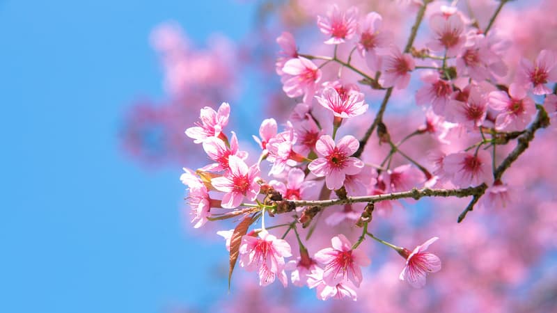 AdobeStock_405766760_20240412