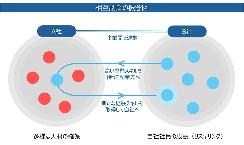 相互副業の概念図