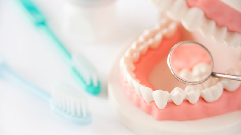 AdobeStock_195423208_20240605