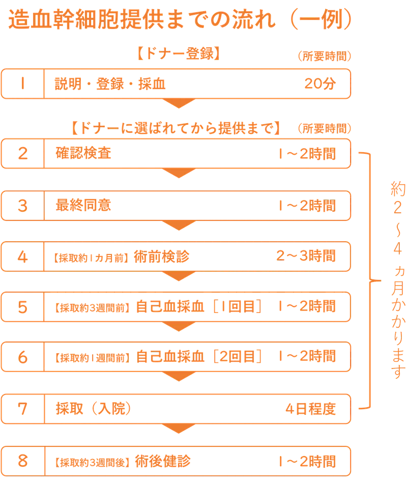 造血幹細胞提供までの流れの一例