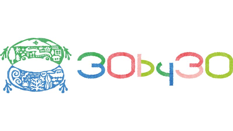 ogp20240709tu_1
