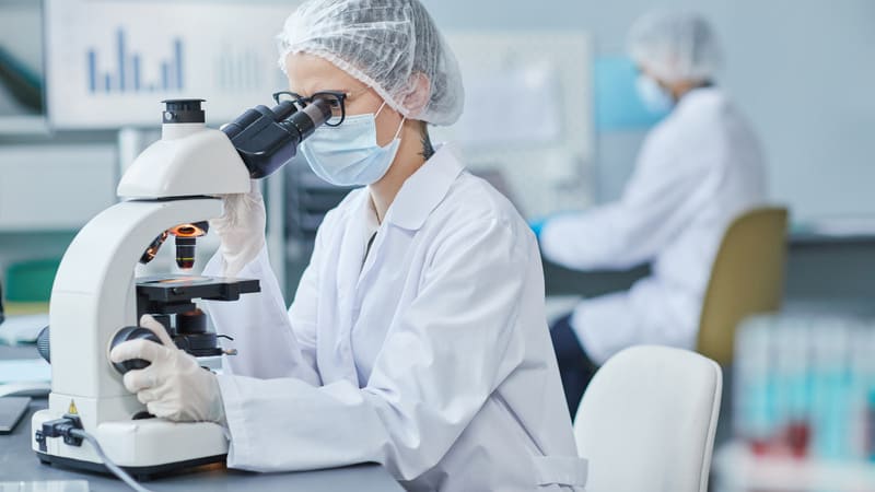 AdobeStock_479564969_20250227