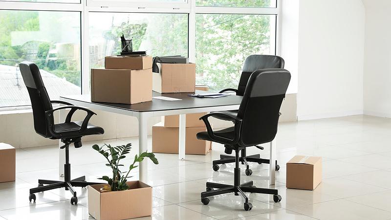 AdobeStock_356565250_20250416