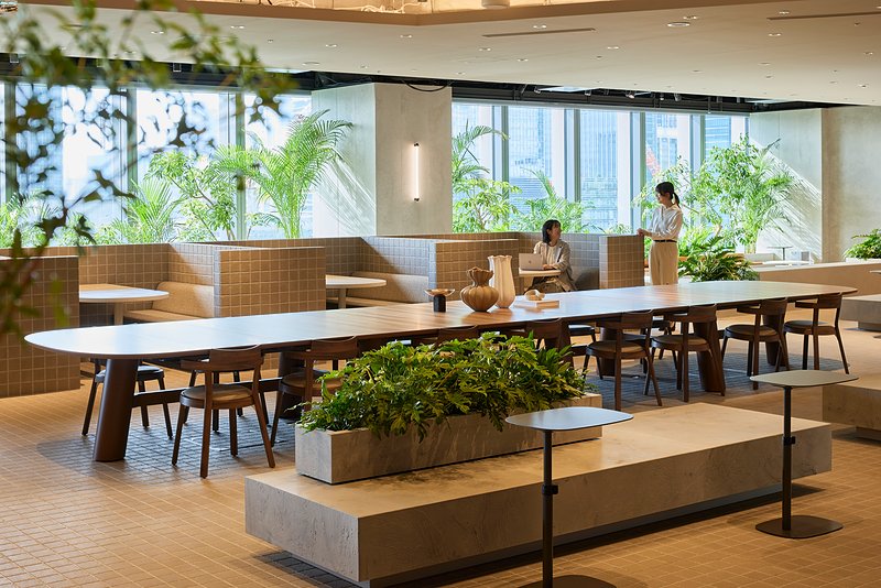 木陰の心地よさを実現した「出社したくなる」オフィス設計 イトーキが表彰された屋内緑化の事例 | 月刊総務オンライン