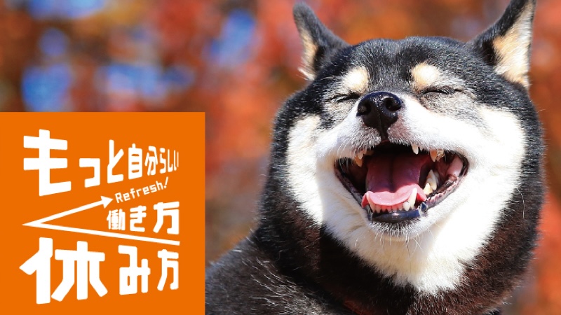 gsomu_2025-10-02_02_ogpのコピー