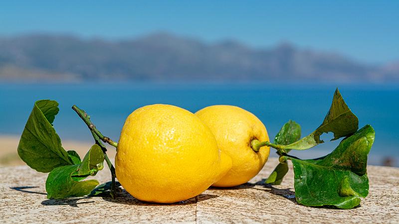 AdobeStock_271135998_20251119