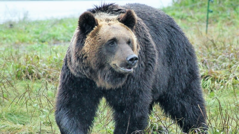 photoAC_3818820_20251215