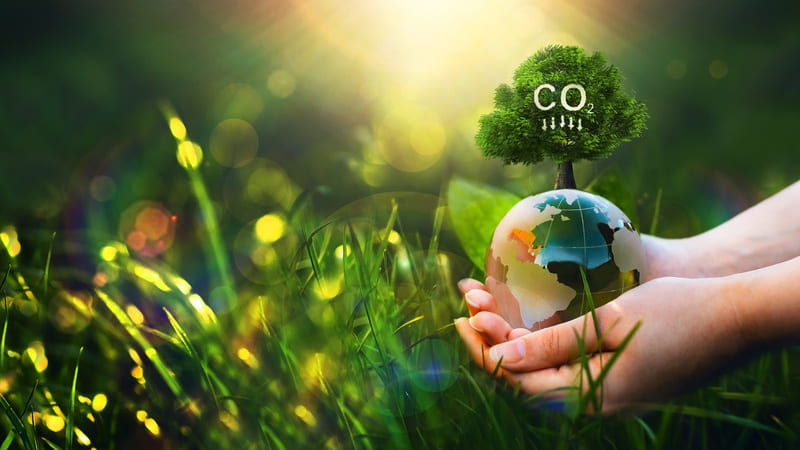 AdobeStock_488533276_20260127