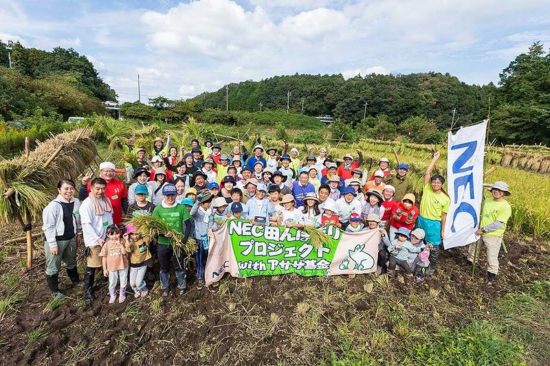 「NEC田んぼ作りプロジェクト」のようす