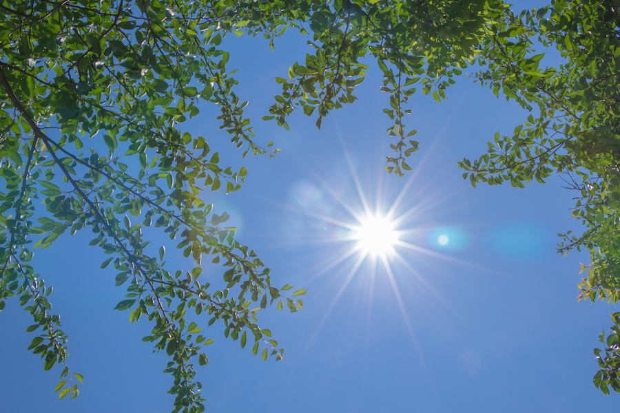 soumu_2026-03-26_03_ogp